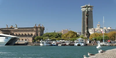 Barcelone, la petite roussette méditerranéenne empoisonnée a des niveaux élevés de mercure