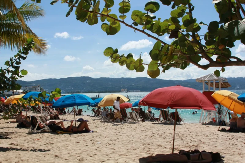 À Montego Bay en Jamaïque, un requin de récif mord le doigt d'une Britannique
