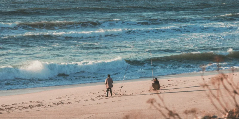 Plage de Vila do Conde au Portugal avec des pêcheurs, attaque de requin bleu