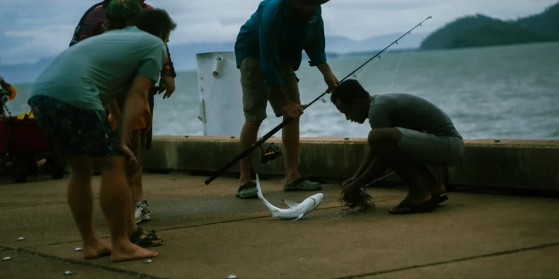 Pêche au requin avec remise à l'eau en Floride