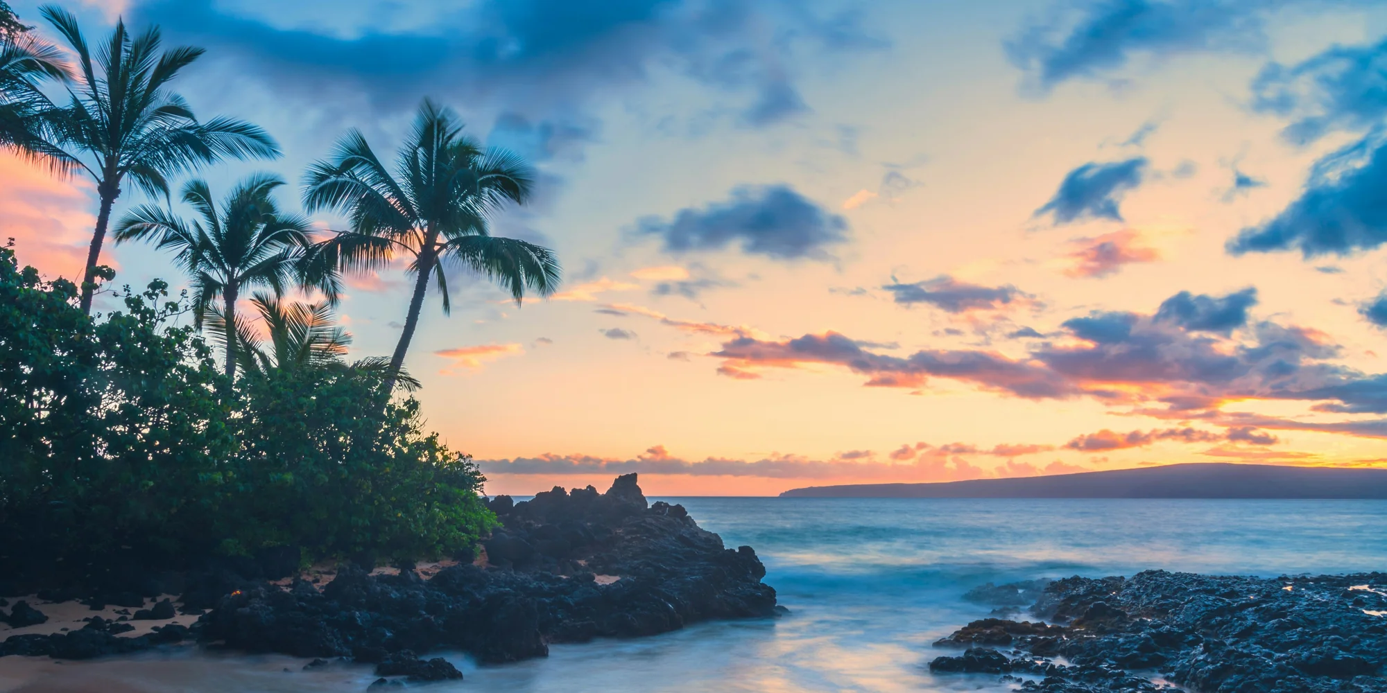 Plage d’Hawaï avec des palmiers – plongée avec les requins