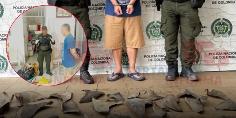 Police Colombienne Arrête un Homme avec des Ailerons de Requin