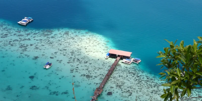 Kudat: interdiction des chalutiers pour la protection des requins et des raies