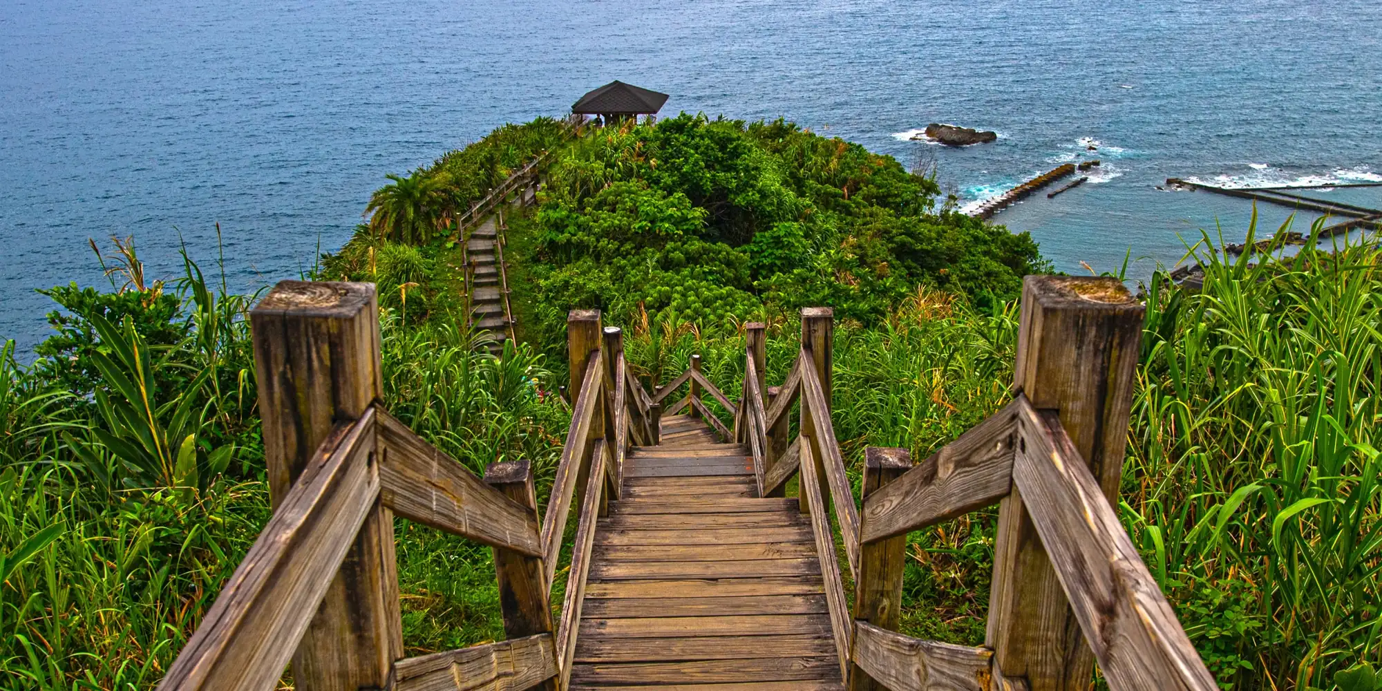Long escalier en bois descend à travers beaucoup de broussailles et de roseaux vers la mer à Taïwan