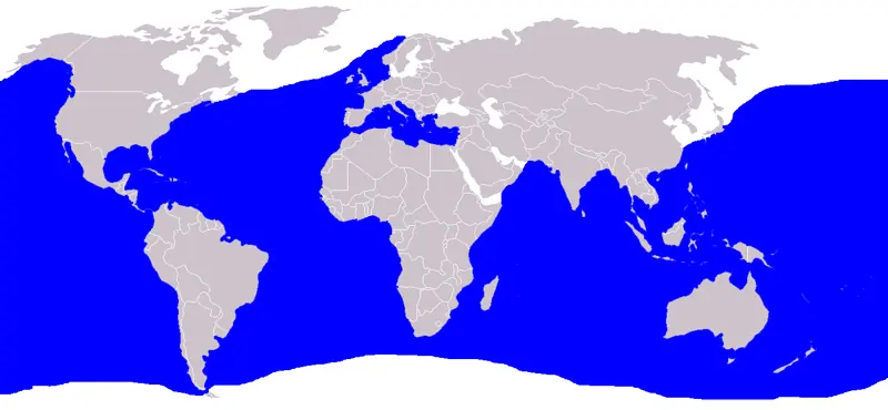 Prionace glauca requin bleu carte distribution occurrence