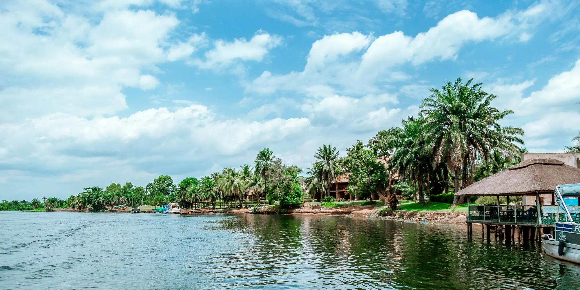 Plongée avec les requins au Ghana, cabanes en bambou avec des palmiers au bord de l'eau