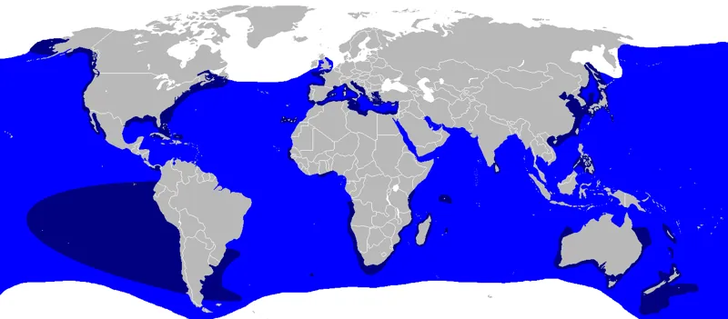 Carte de répartition du grand requin blanc Carcharodon carcharias