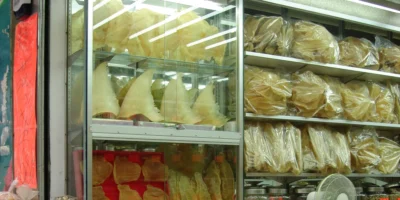 Ailerons de requin exposés dans un magasin en Chine