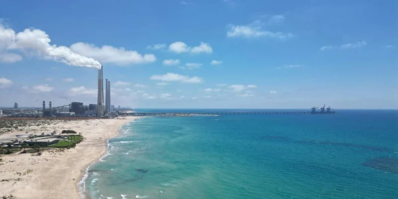 Attaque de requin à la centrale électrique de Hadera, Israël