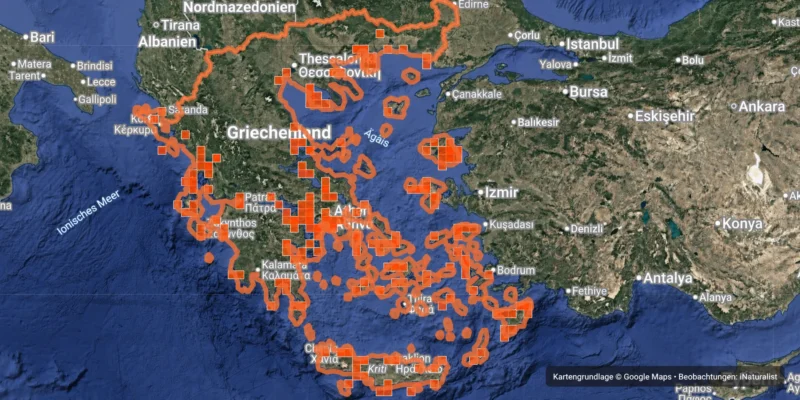Carte iNaturalist des observations de requins signalées autour de la Grèce