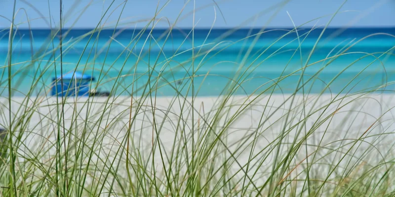 Vue de Panama City sur la plage et la mer à travers l'herbe