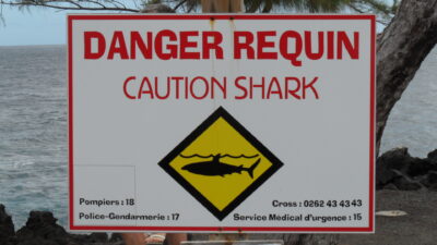 Panneau de danger requin sur le littoral de La Réunion