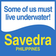 Logo de Savedra Dive Center