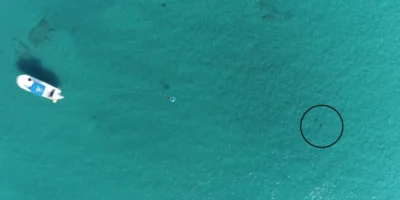Vue aérienne par drone du dispositif expérimental au large de la Floride, avec un bateau, un haut-parleur sous-marin et un requin entouré d’un cercle noir.
