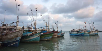 Bateaux de pêche colorés sur l’eau au large de Kalpitiya, Sri Lanka
